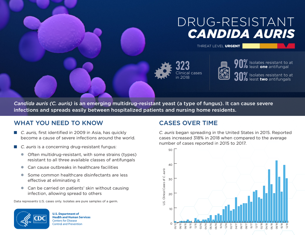 Drug-resistant Candida auris source preview